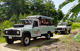 Island Safari Jeeps